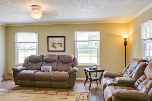 living room featuring crown molding, a textured ceiling, and light wood-type flooring