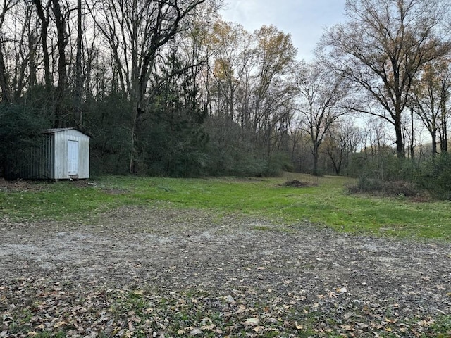 view of yard featuring a storage shed