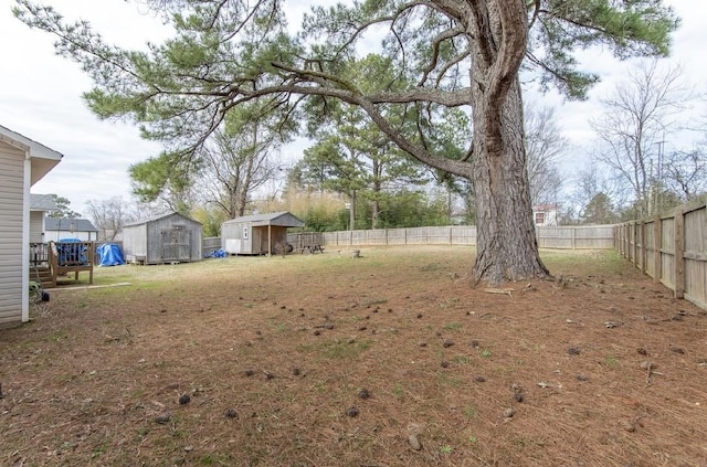 view of yard featuring a shed