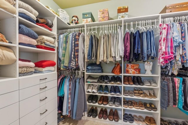 view of spacious closet