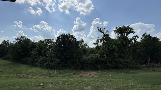839 Stovers Gln, Murfreesboro, TN 37128 - view of woods