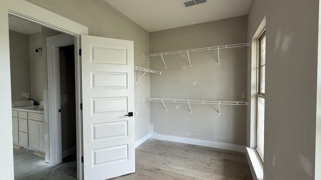 839 Stovers Gln, Murfreesboro, TN 37128 - walk in closet featuring a sink and wood finished floors