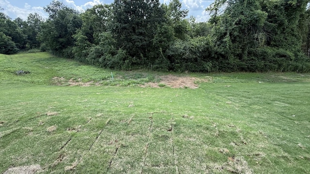 839 Stovers Gln, Murfreesboro, TN 37128 - view of green lawn