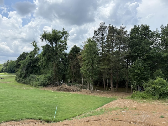 839 Stovers Gln, Murfreesboro, TN 37128 - view of yard