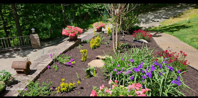 view of yard featuring a vegetable garden