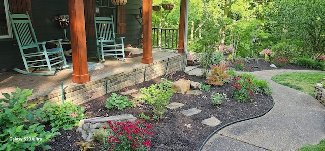 view of yard with a porch