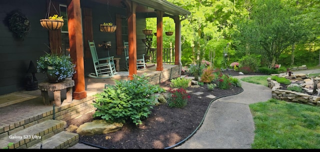 view of yard with a porch