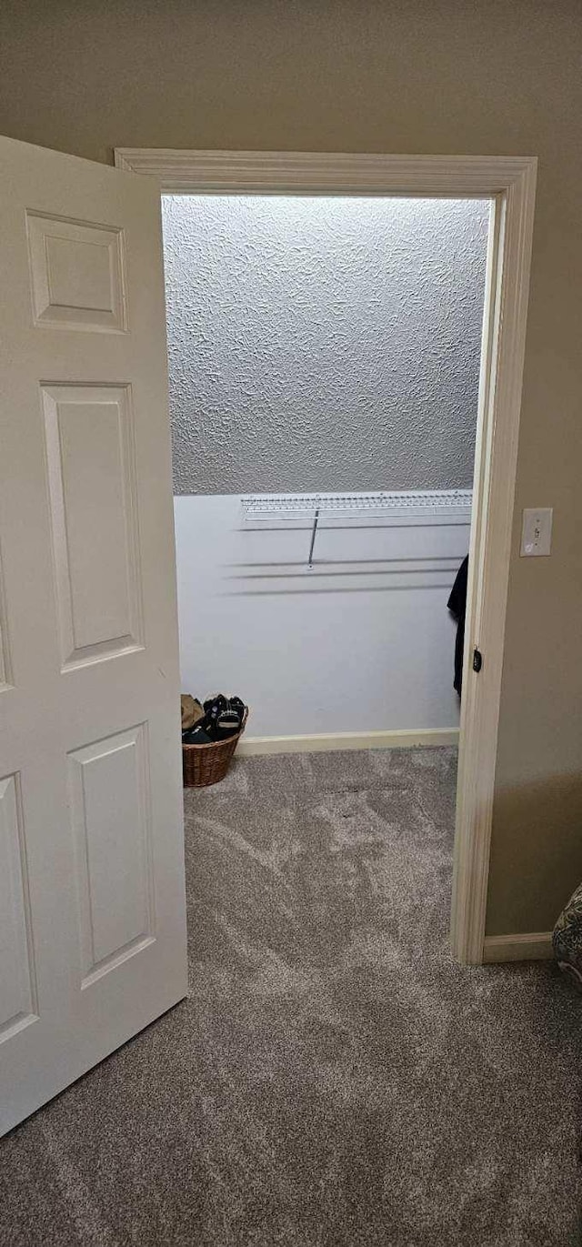 walk in closet featuring carpet flooring