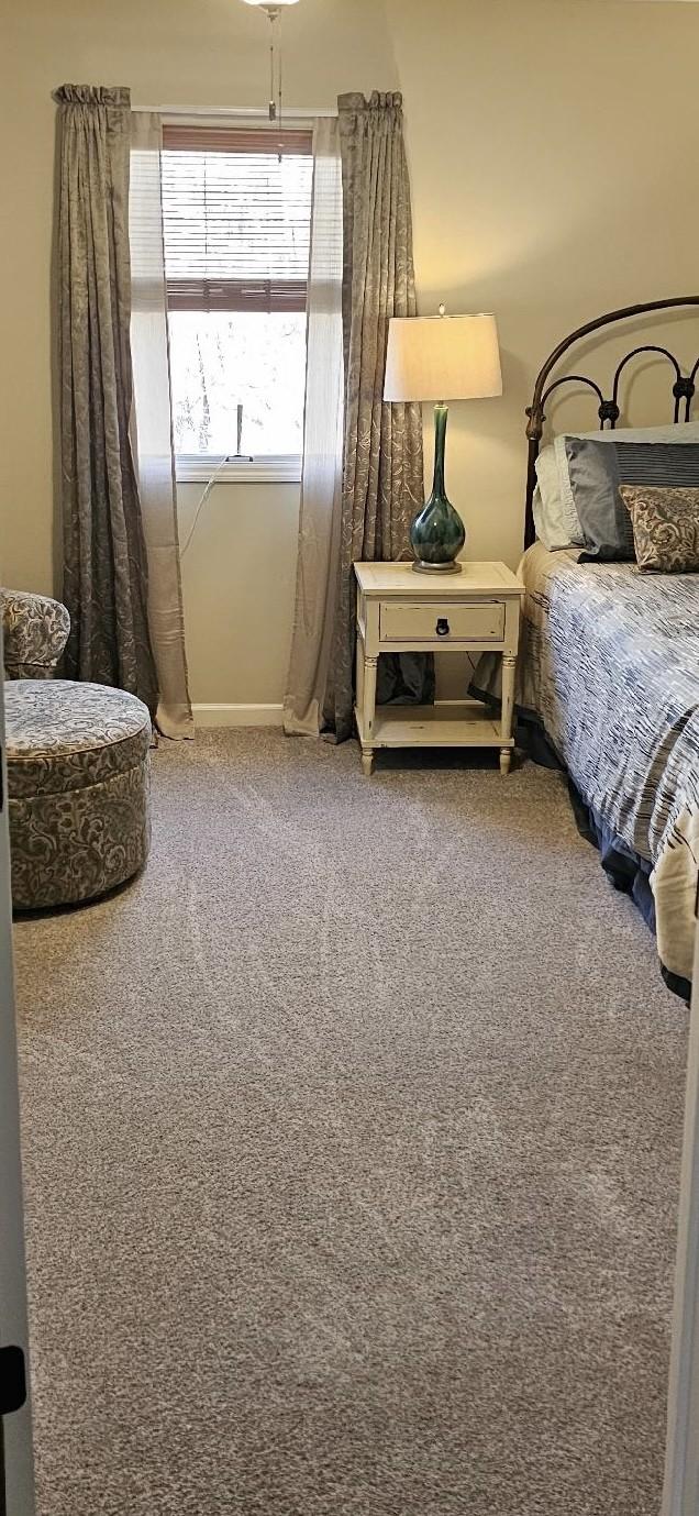 bedroom with carpet flooring