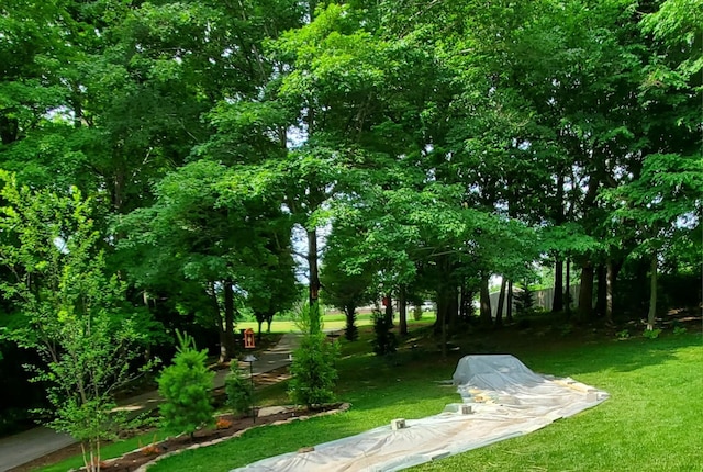 view of community featuring a lawn
