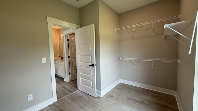 835 Stovers Gln, Murfreesboro, TN 37128 - walk in closet featuring light wood-style floors