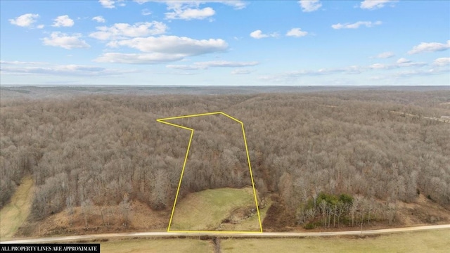 0 Jack Saunder Rd, Waverly TN, 37185 land for sale