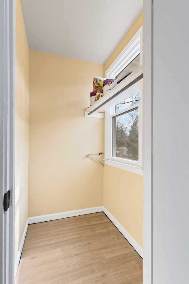 walk in closet with light wood-type flooring