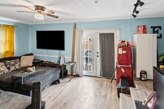 living room featuring crown molding, a textured ceiling, and light wood-type flooring