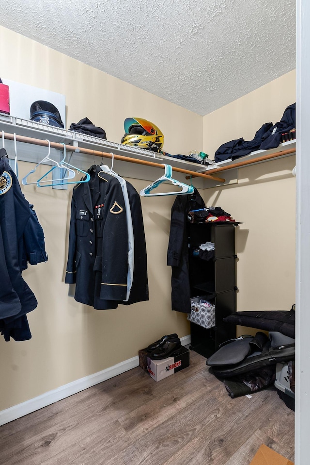 spacious closet with hardwood / wood-style floors