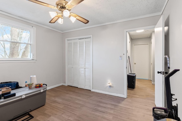 home office with crown molding, ceiling fan, a textured ceiling, and light wood-type flooring