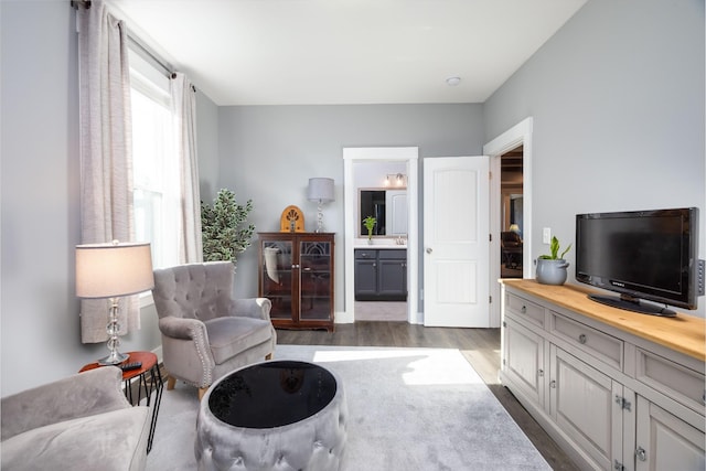 sitting room featuring dark hardwood / wood-style flooring