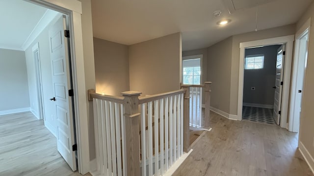 827 Stovers Gln, Murfreesboro, TN 37128 - photo 18