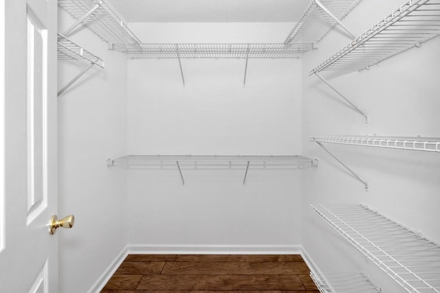 walk in closet featuring hardwood / wood-style flooring