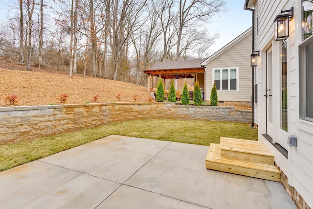 view of yard with a patio