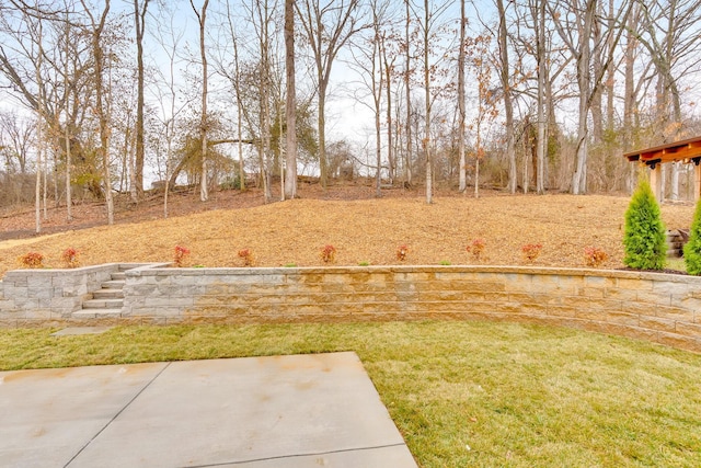 view of yard with a patio