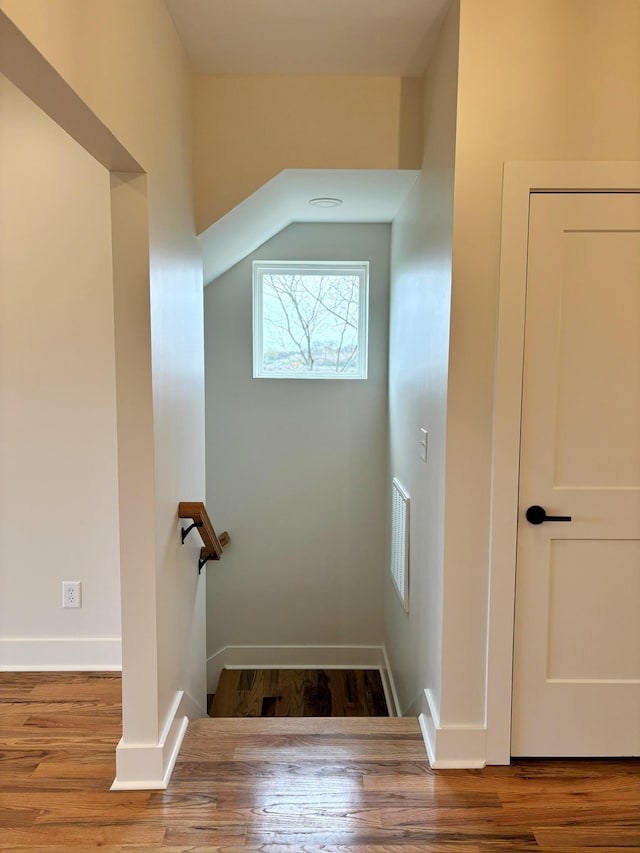 stairs with hardwood / wood-style flooring