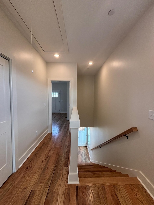 corridor featuring dark hardwood / wood-style flooring