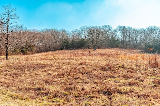 view of local wilderness featuring a rural view