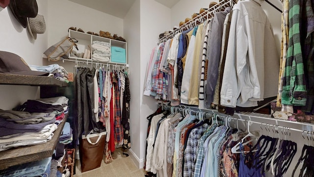 view of spacious closet