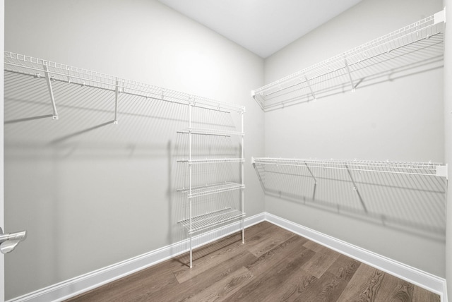 walk in closet with wood-type flooring