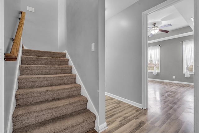 stairs featuring ceiling fan and wood-type flooring