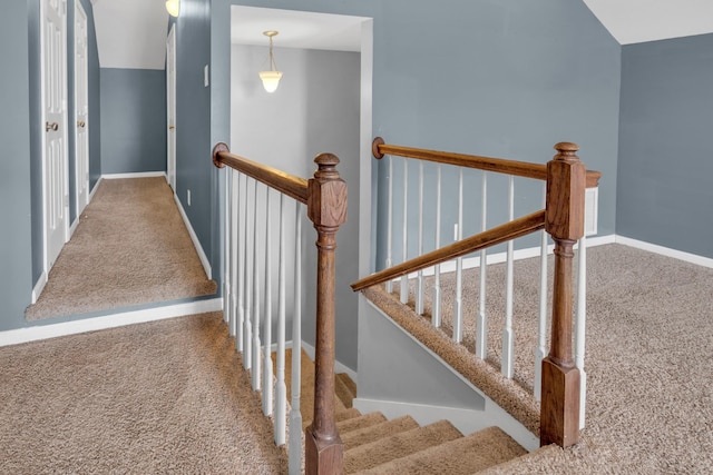 stairway featuring carpet floors