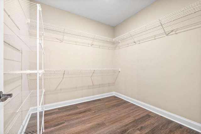 spacious closet with wood-type flooring