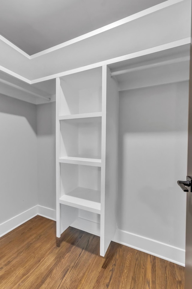 walk in closet featuring wood-type flooring