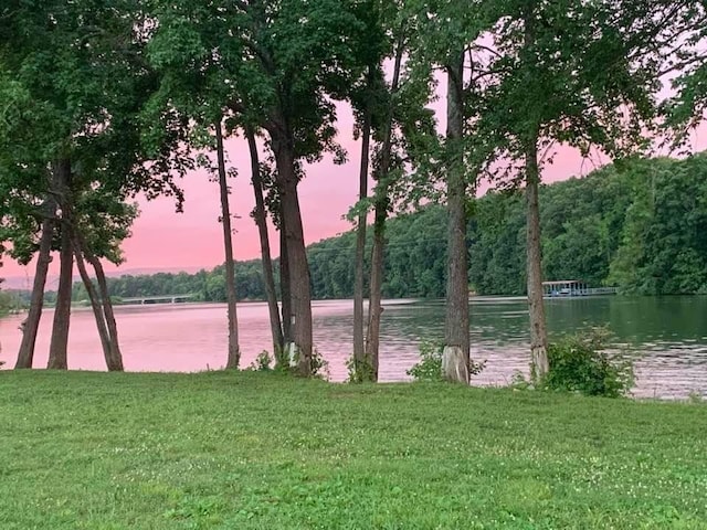 property view of water