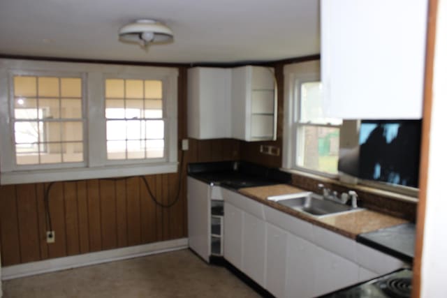 kitchen featuring a wainscoted wall, white cabinetry, a sink, and wooden walls