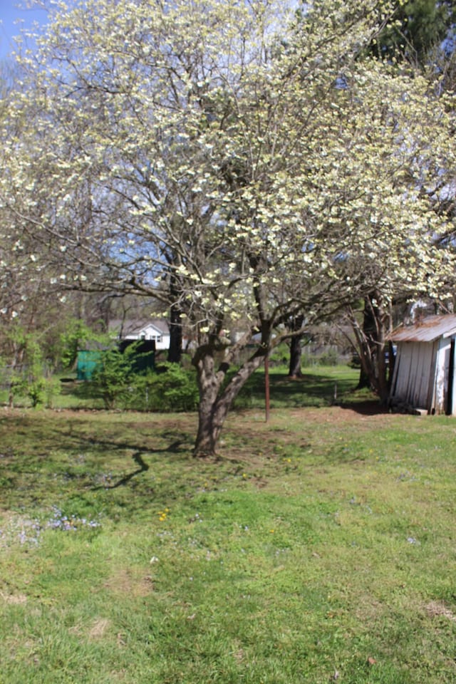 view of yard with an outdoor structure and a shed