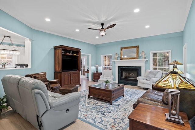 living room featuring crown molding, ceiling fan, and light hardwood / wood-style flooring