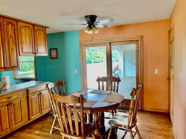 dining area with ceiling fan, a healthy amount of sunlight, a textured ceiling, and light wood-type flooring