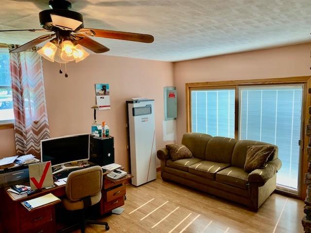 office with ceiling fan, a textured ceiling, and light hardwood / wood-style flooring