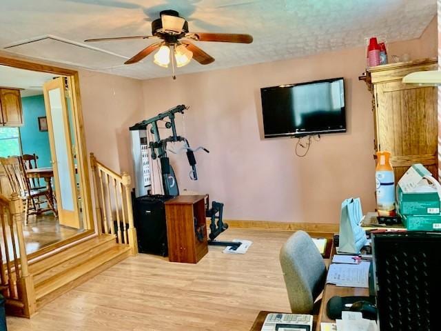 workout room with ceiling fan and light hardwood / wood-style floors