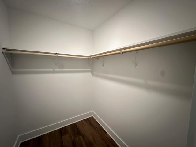 walk in closet featuring wood-type flooring