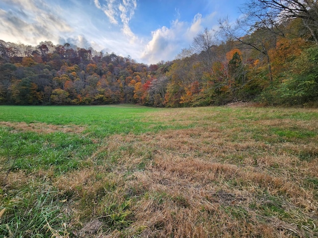 0 Pine Lick Rd, Whitleyville TN, 38588 land for sale