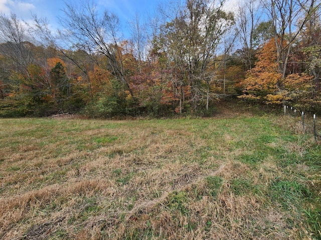 Listing photo 3 for 0 Pine Lick Rd, Whitleyville TN 38588