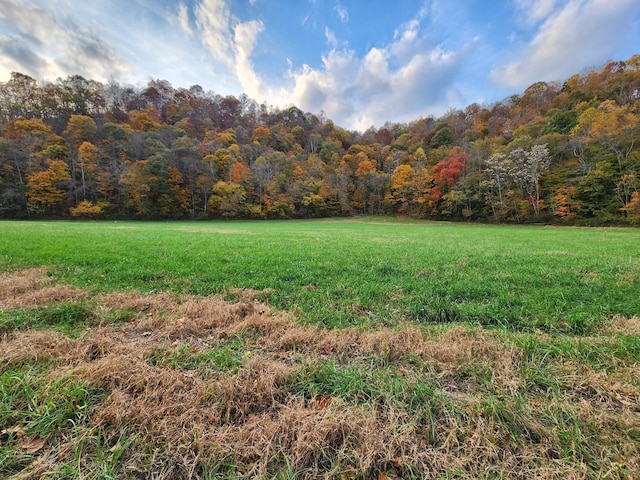 0 Pine Lick Rd, Whitleyville TN, 38588 land for sale