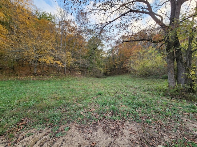 0 Pine Lick Rd, Whitleyville TN, 38588 land for sale