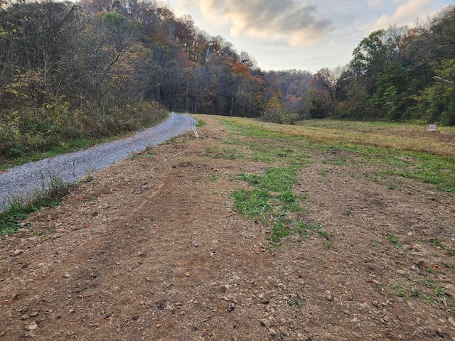 0 Pine Lick Rd, Whitleyville TN, 38588 land for sale