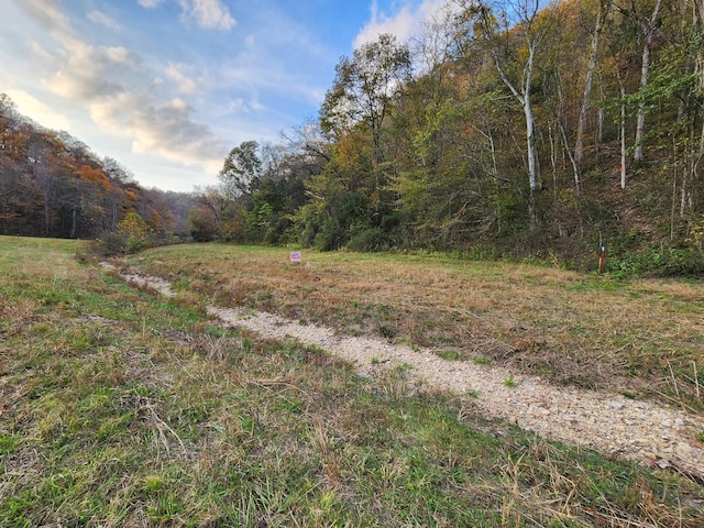 Listing photo 3 for 0 Pine Lick Rd, Whitleyville TN 38588