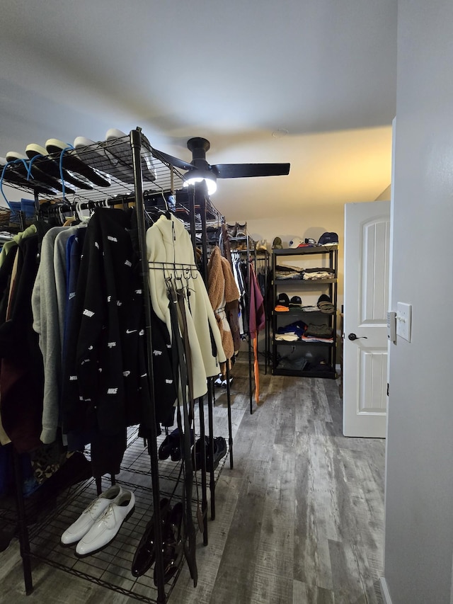 walk in closet featuring wood-type flooring