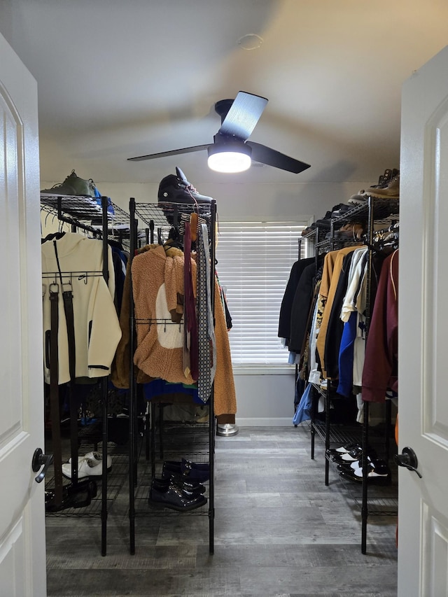 spacious closet featuring hardwood / wood-style flooring and ceiling fan